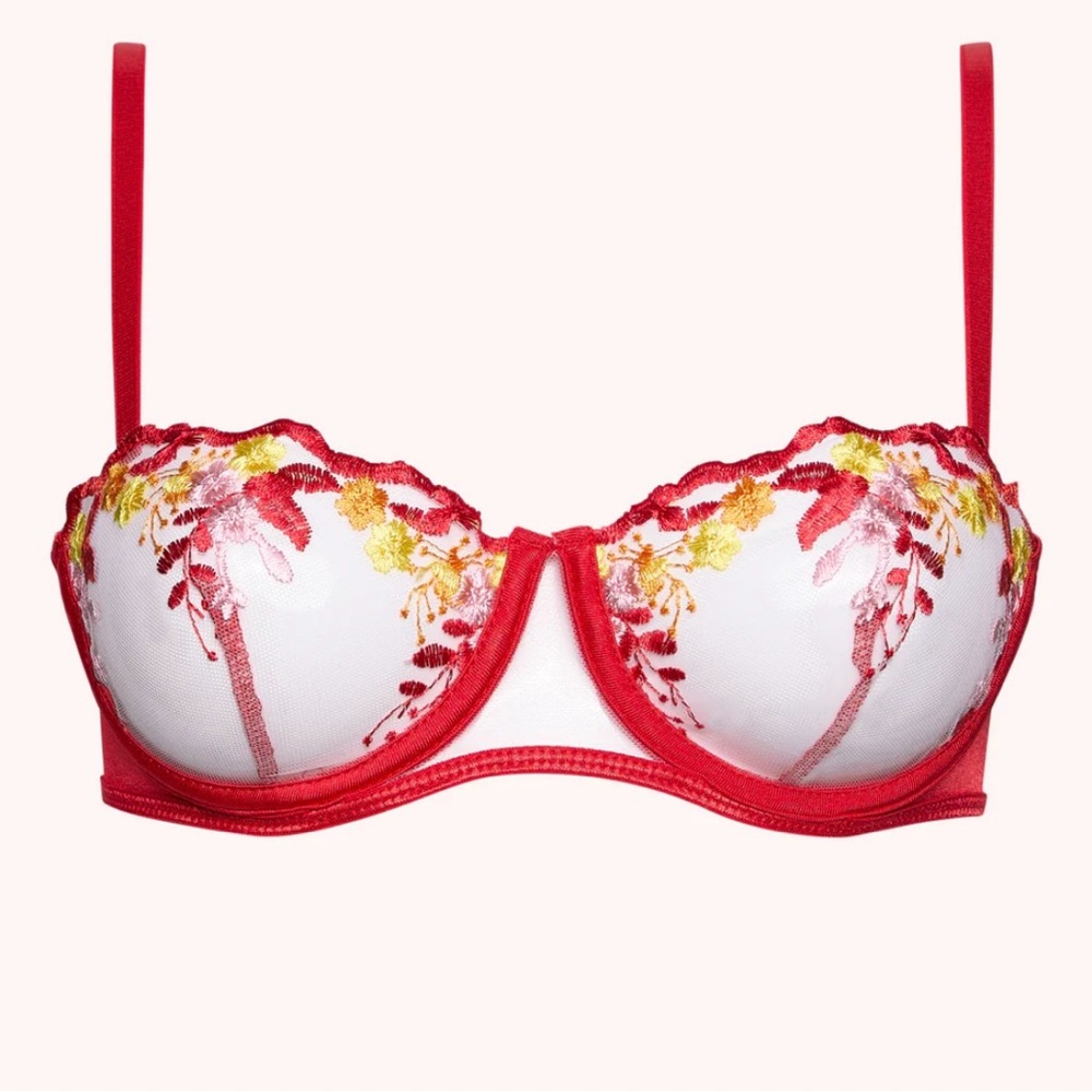Bold and sultry crimson bra. Size small, never worn